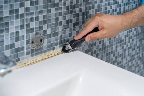 Best Fast Mold Removal  in Long Beach, IN